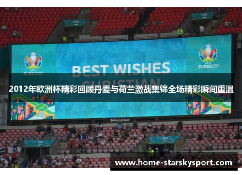2012年欧洲杯精彩回顾丹麦与荷兰激战集锦全场精彩瞬间重温
